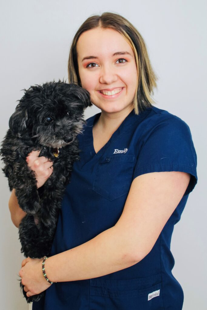 Emily Redford | Wellington Veterinary Clinic